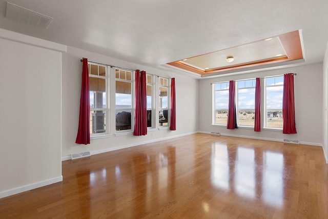 interior space featuring a tray ceiling and hardwood / wood-style flooring