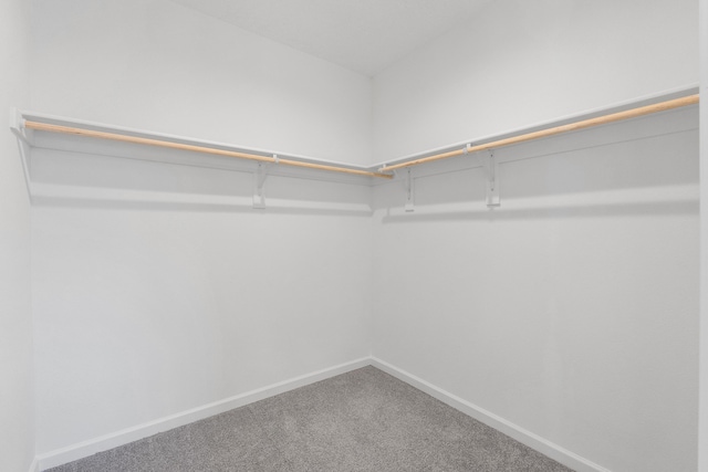 spacious closet with carpet flooring