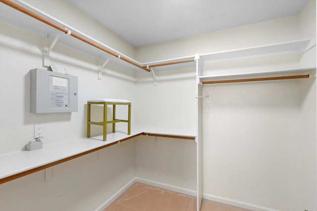 spacious closet with light colored carpet