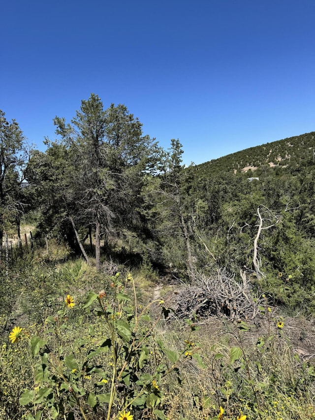 54 Gilbert Pl, Sandia Park, NM 87047 - photo 4