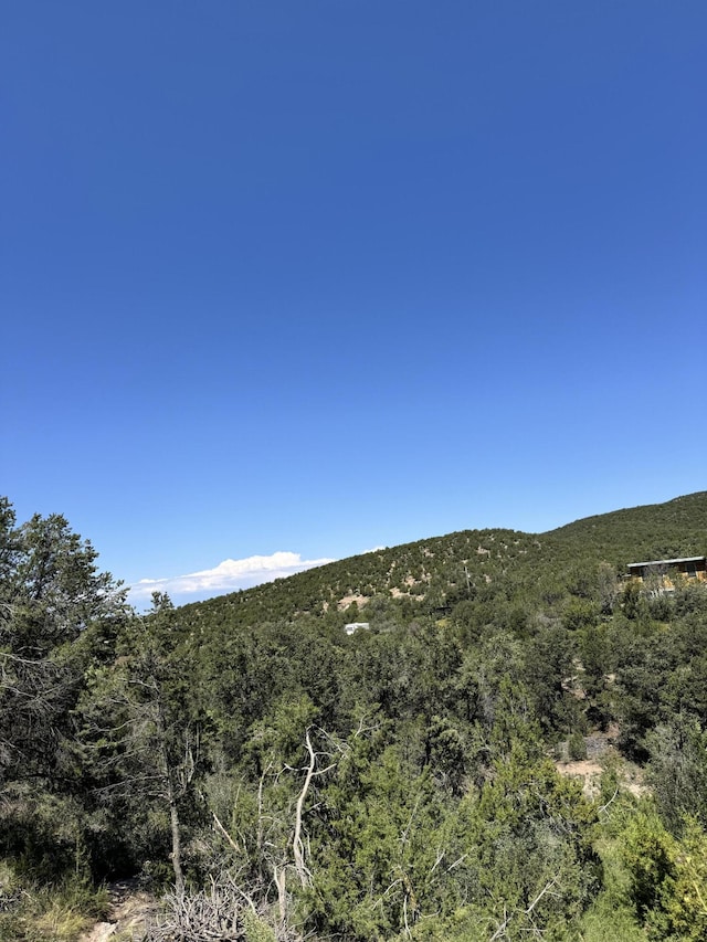 54 Gilbert Pl, Sandia Park, NM 87047 - photo 5