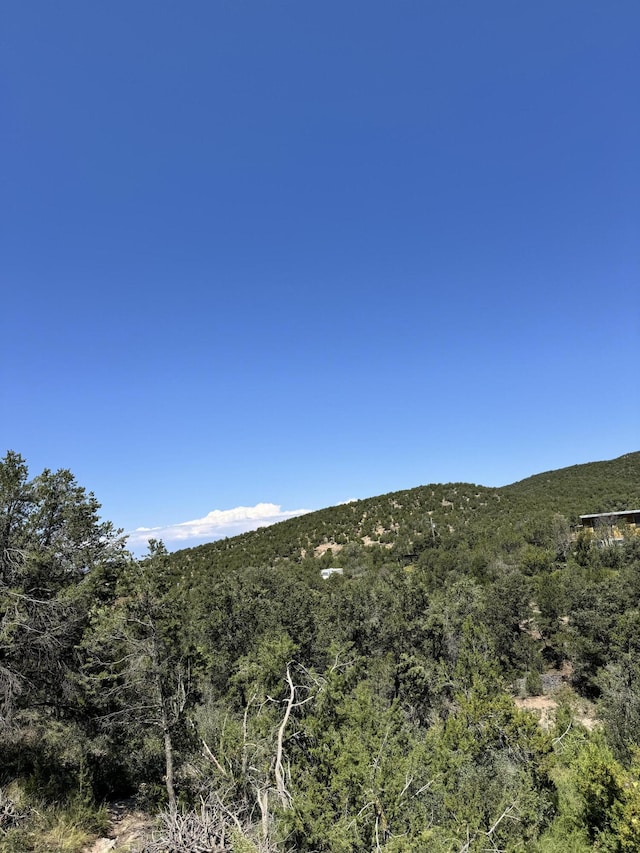 54 Gilbert Pl, Sandia Park, NM 87047 - photo 6