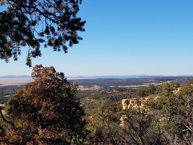 7 Cebolla Canyon Rd, Pie Town NM, 87827 land for sale