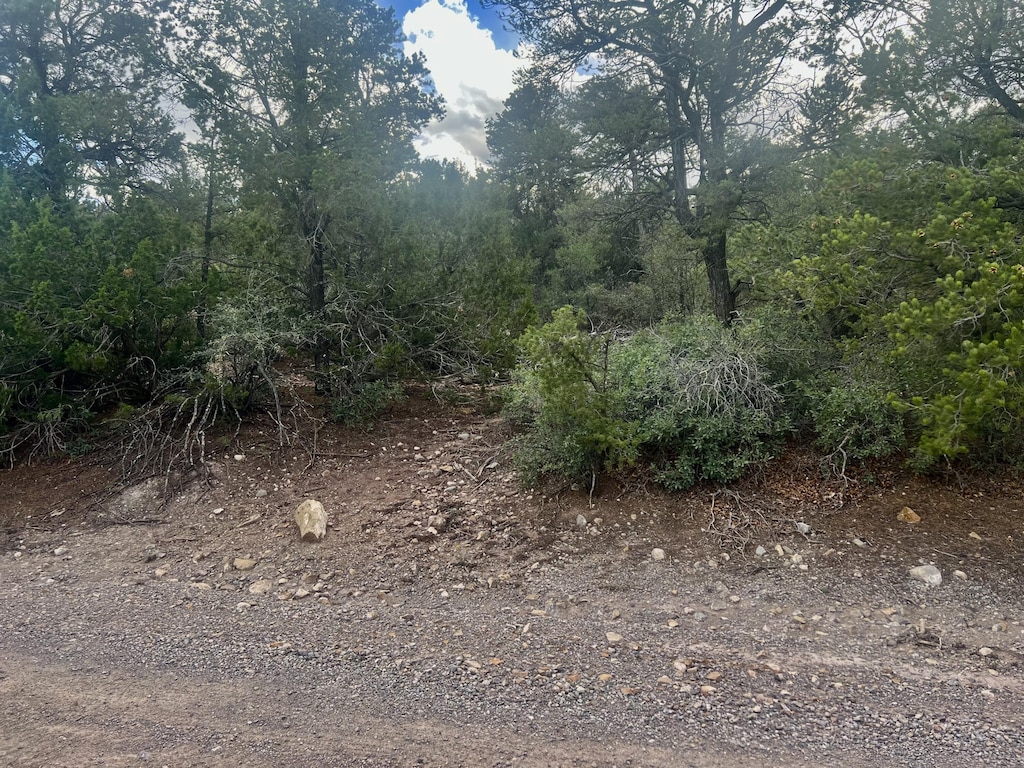 22 Gaddis Rd, Sandia Park, NM 87047 - photo 1