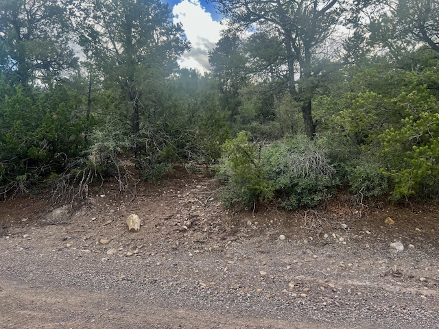 22 Gaddis Rd, Sandia Park, NM 87047 - photo 1