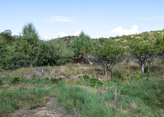 Listing photo 3 for 68 Canyon Rd, Sandia Park NM 87047