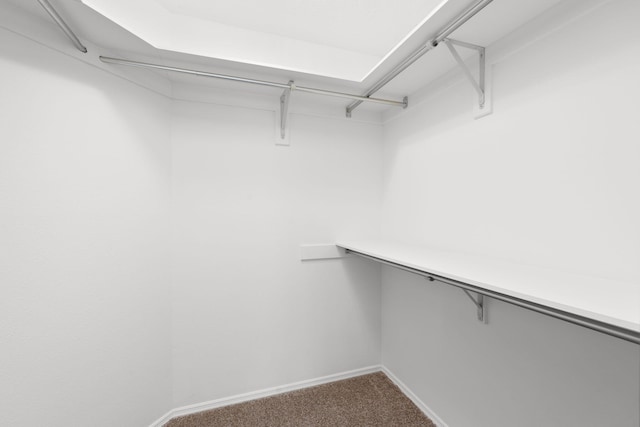 2616 Don Pedro NW, Albuquerque, NM 87104 - walk in closet featuring carpet flooring