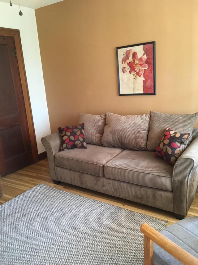 living room with light wood-type flooring