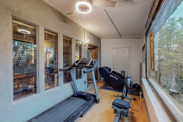 workout room with wood-type flooring, lofted ceiling, and crown molding