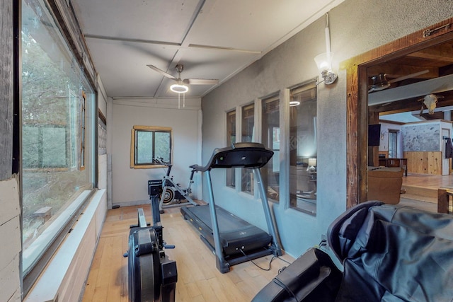 workout room with ceiling fan, hardwood / wood-style floors, and crown molding