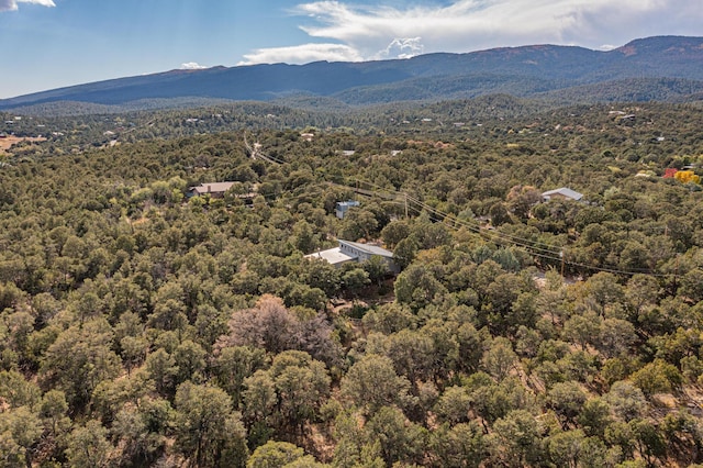 birds eye view of property featuring a mountain view