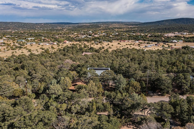 aerial view featuring a mountain view