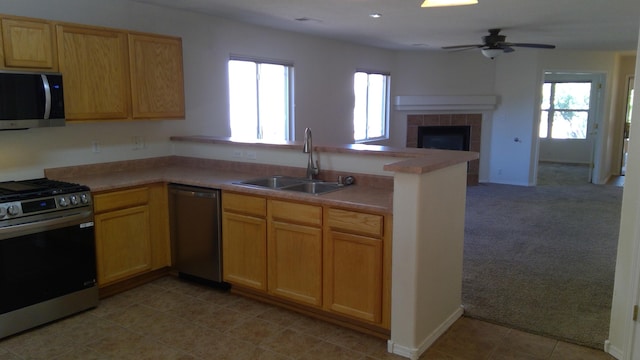 kitchen with appliances with stainless steel finishes, a healthy amount of sunlight, kitchen peninsula, and sink