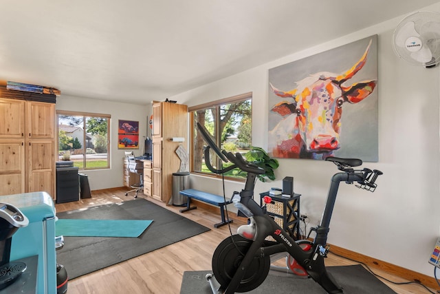 exercise room with hardwood / wood-style flooring