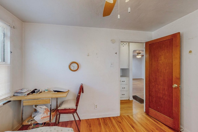 home office with ceiling fan and light hardwood / wood-style floors