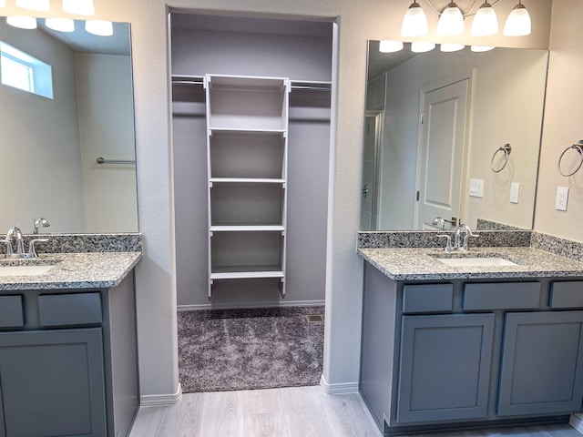 bathroom with wood-type flooring and vanity