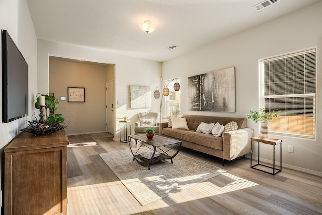 living room featuring wood-type flooring