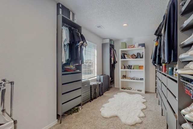 walk in closet with light carpet