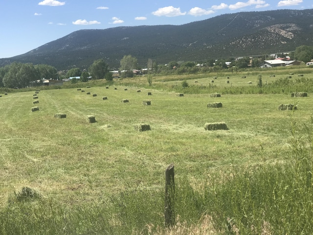 Roybal Rd, Rio Lucio, NM 87553 - photo 6