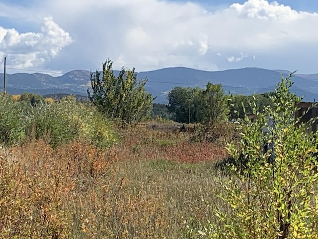 Roybal Rd, Rio Lucio, NM 87553 - photo 8