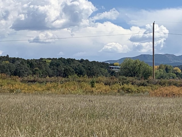 Roybal Rd, Rio Lucio, NM 87553 - photo 7