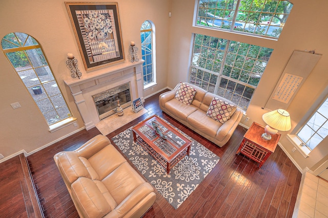 living room with a high ceiling and hardwood / wood-style floors