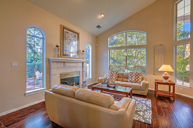 living room with high vaulted ceiling, a healthy amount of sunlight, dark wood-type flooring, and a textured ceiling