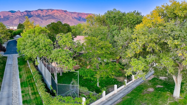 birds eye view of property featuring a mountain view