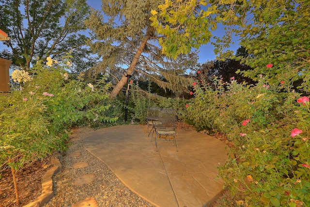 view of patio