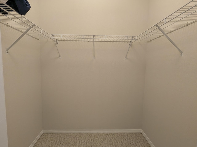 walk in closet featuring carpet floors