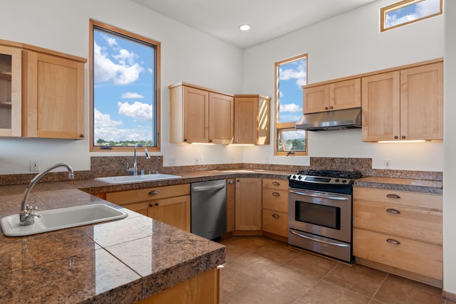 kitchen with stainless steel appliances, a wealth of natural light, and sink