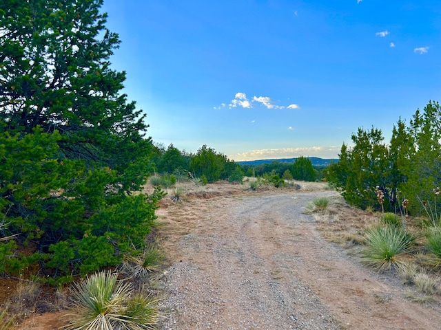 56 Thomas Rd, Edgewood, NM 87015 - photo 6