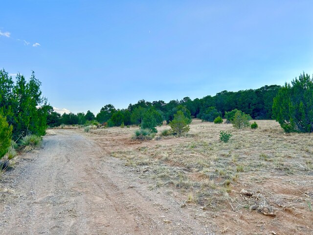 56 Thomas Rd, Edgewood, NM 87015 - photo 5