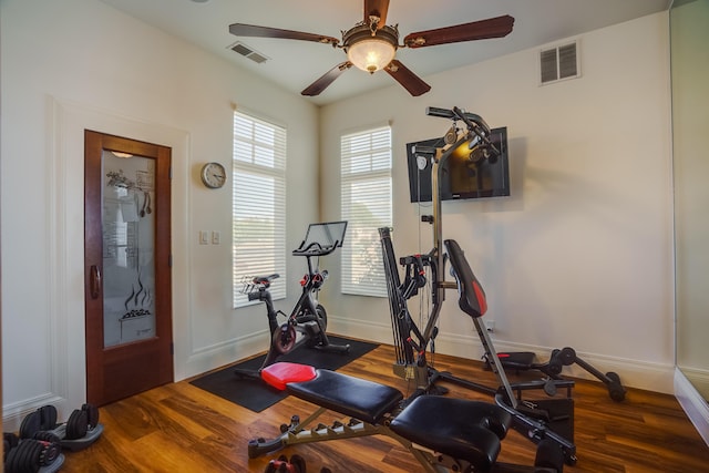 workout area with ceiling fan and dark hardwood / wood-style floors