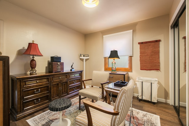 sitting room featuring dark wood-type flooring