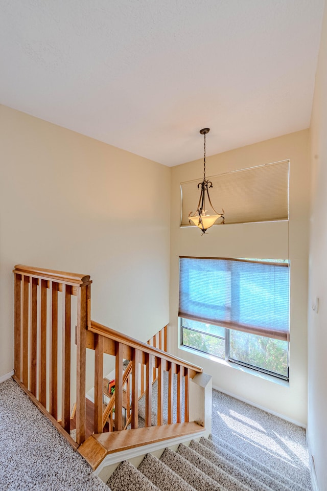 staircase featuring carpet