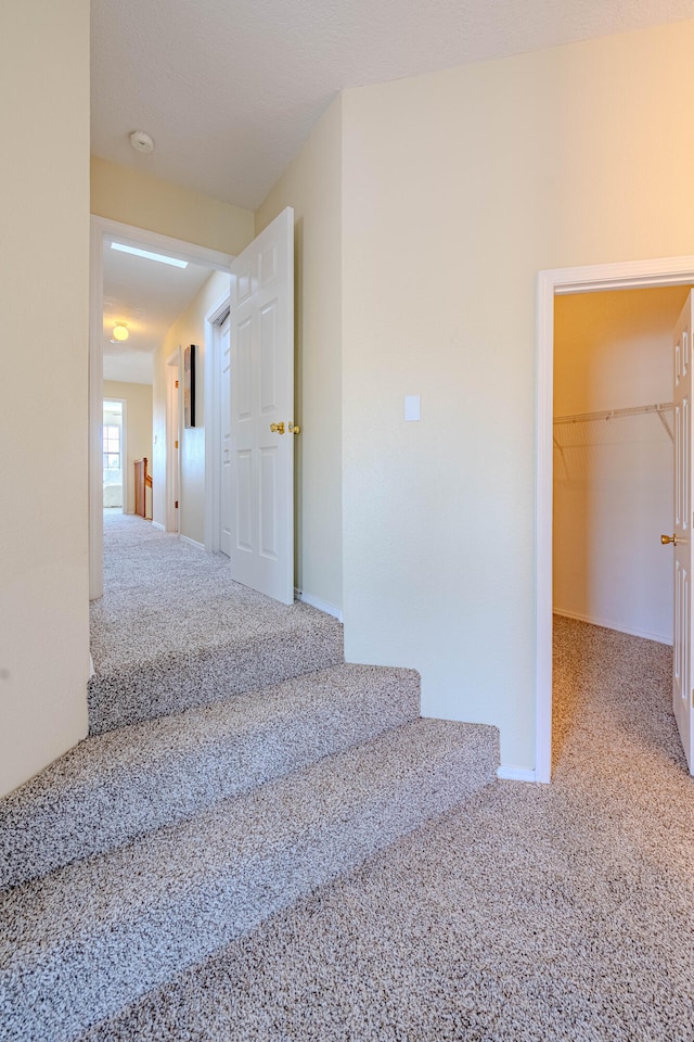 staircase featuring carpet flooring