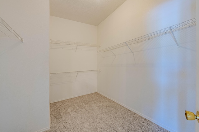 spacious closet with light carpet