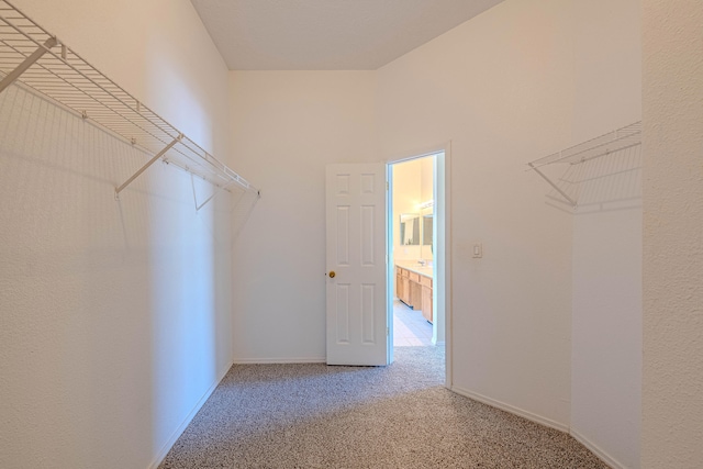 spacious closet with carpet floors and a high ceiling