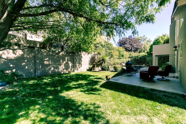 view of yard featuring a patio area