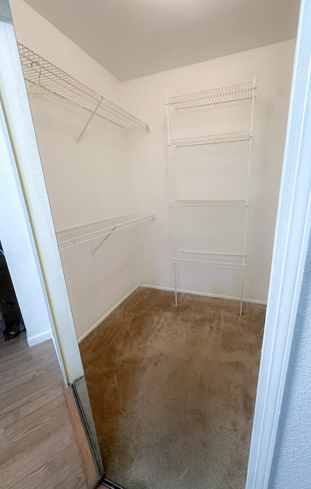 walk in closet with carpet floors