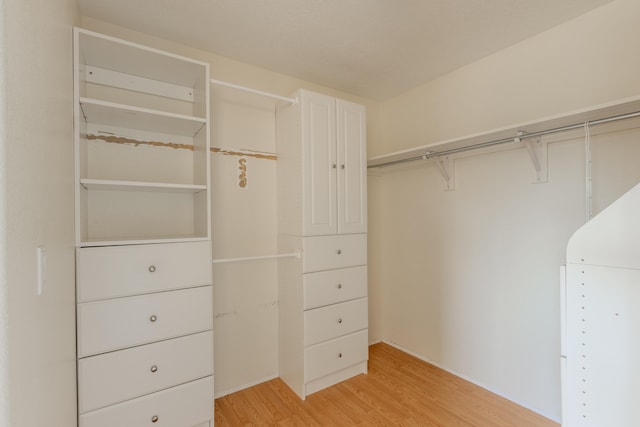 walk in closet featuring light hardwood / wood-style floors