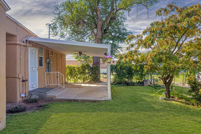 view of yard with a patio area and ceiling fan