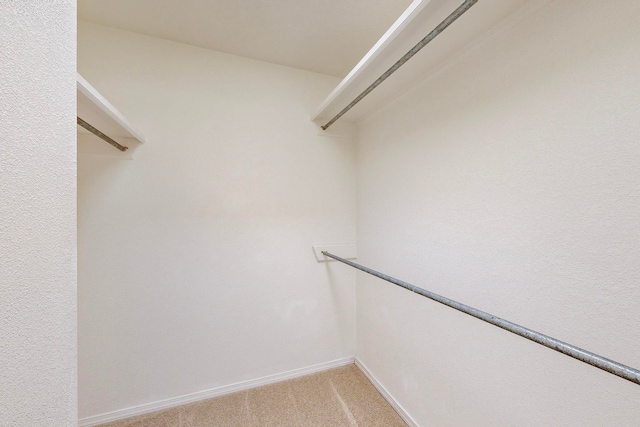 spacious closet with light colored carpet