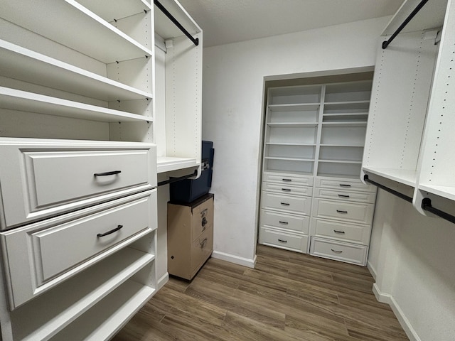 walk in closet featuring dark hardwood / wood-style floors