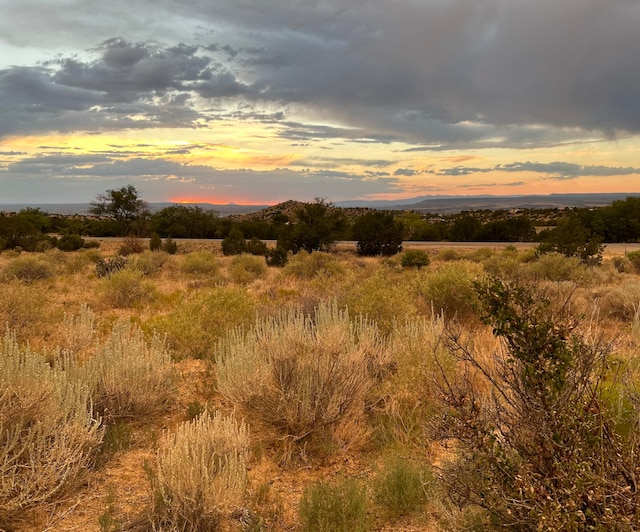 Hillside Dr, Placitas NM, 87043 land for sale