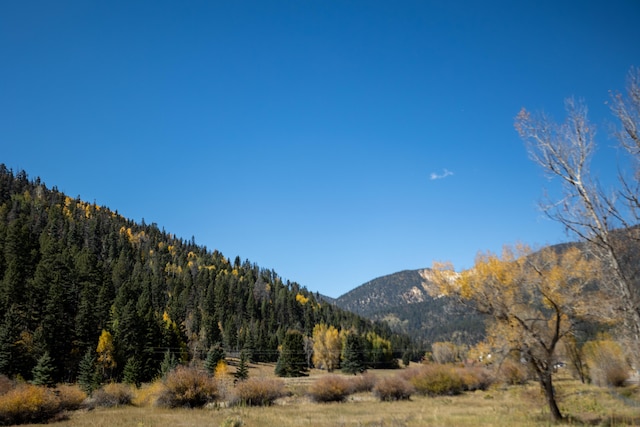 property view of mountains