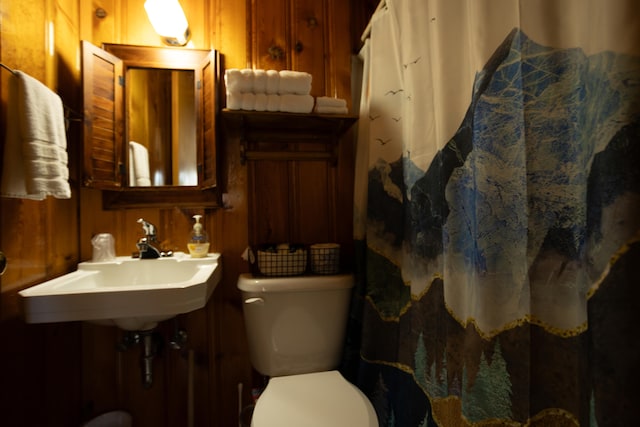 bathroom with sink, wooden walls, and toilet