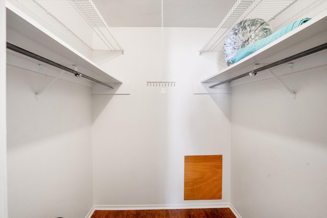 spacious closet featuring dark wood-type flooring