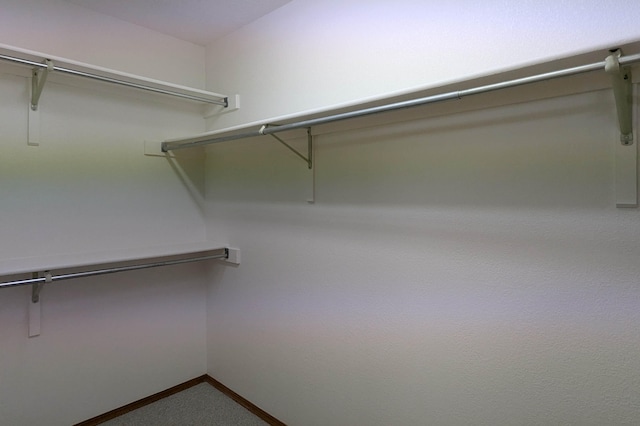 view of walk in closet